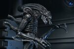 Aliens Ultimate Action Figure Warrior (1986) Xenomorph Black (40th Anniversary) 23 cm - immagine 4