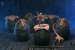 Aliens 6-Pack Accessory Pack Carton of Alien Eggs (40th Anniversary) - immagine 2