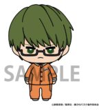 Kuroko's Basketball Nyokinto Mascot Mini Figures Blind Box Display 6 cm (8) - immagine 6