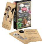 Renegade Originals: Mycologist's Primer Flash Cards *English Version*