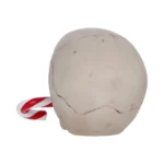 FROSTBITE CANDY CANE LED SKULL FIGURE - immagine 3