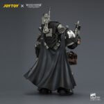 Warhammer Action Figure Raven Guard Kaedes Nex, the Blood Crow 13 cm - immagine 3