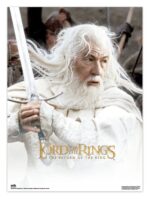 The Lord of the Rings Poster 38 x 52 cm Set of 2 - immagine 3