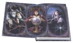 Anne Stokes Journal The Book of Shadows A5 18 cm - immagine 5