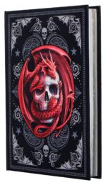 Anne Stokes Journal Skull Embrace A5 18 cm - immagine 2