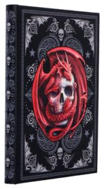 Anne Stokes Journal Skull Embrace A5 18 cm - immagine 3