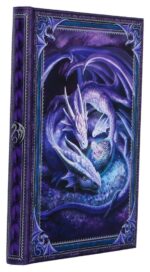 Anne Stokes Journal Welcome Hatchling A5 18 cm - immagine 4