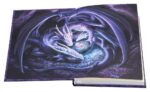 Anne Stokes Journal Welcome Hatchling A5 18 cm - immagine 5