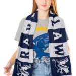 Harry Potter Scarf Ravenclaw