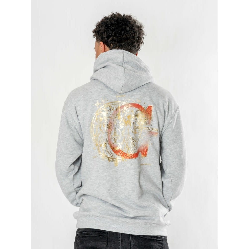 x_pe19408hsg Harry Potter Hooded Sweater Gryffindor Zodiac - immagine 1