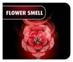 Revell Flowers Wooden Flowers Dream of Roses 22 cm - immagine 2