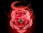 Revell Flowers Wooden Flowers Dream of Roses 22 cm - immagine 4