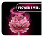 Revell Flowers Wooden Flowers Flower Garden 22 cm - immagine 2