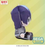 Hatsune Miku: Colorful Stage! Mysekai Plush Figure Toya Aoyagi (S) 13 cm - immagine 4
