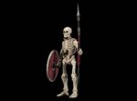 Mythic Legions: Reinforcement 3 Action Figure Skeleton Legion Builder 3 - immagine 5