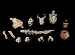 Mythic Legions: Reinforcement 3 Action Figure Accessory Skeleton Soldiers Add-On Set - immagine 5