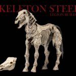 Mythic Legions: Reinforcement 3 Action Figure Skeleton Steed Legion Builder