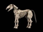 Mythic Legions: Reinforcement 3 Action Figure Skeleton Steed Legion Builder - immagine 2