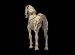 Mythic Legions: Reinforcement 3 Action Figure Skeleton Steed Legion Builder - immagine 3