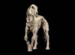 Mythic Legions: Reinforcement 3 Action Figure Skeleton Steed Legion Builder - immagine 4