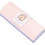 Pusheen Glasses Case