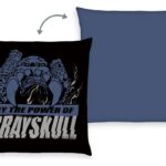 Masters of the Universe Pillow 40 x 40 cm