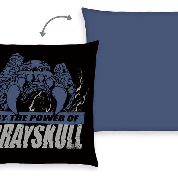 Masters of the Universe Pillow 40 x 40 cm