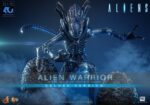 Alien Movie Masterpiece Action Figure 1/6 Alien Warrior (Deluxe Version) 39 cm - immagine 2