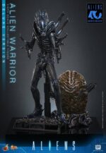 Alien Movie Masterpiece Action Figure 1/6 Alien Warrior (Deluxe Version) 39 cm - immagine 4
