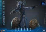 Alien Movie Masterpiece Action Figure 1/6 Alien Warrior (Deluxe Version) 39 cm - immagine 5