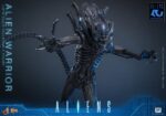 Alien Movie Masterpiece Action Figure 1/6 Alien Warrior 39 cm - immagine 6