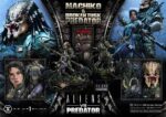 Aliens vs. Predator (Comic) Ultimate Premium Masterline Statue 1/4 Machiko & Broken Tusk Predator 79 cm - immagine 6