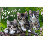 Puzzle da 260 Pezzi - Amicizia Felina - immagine 2