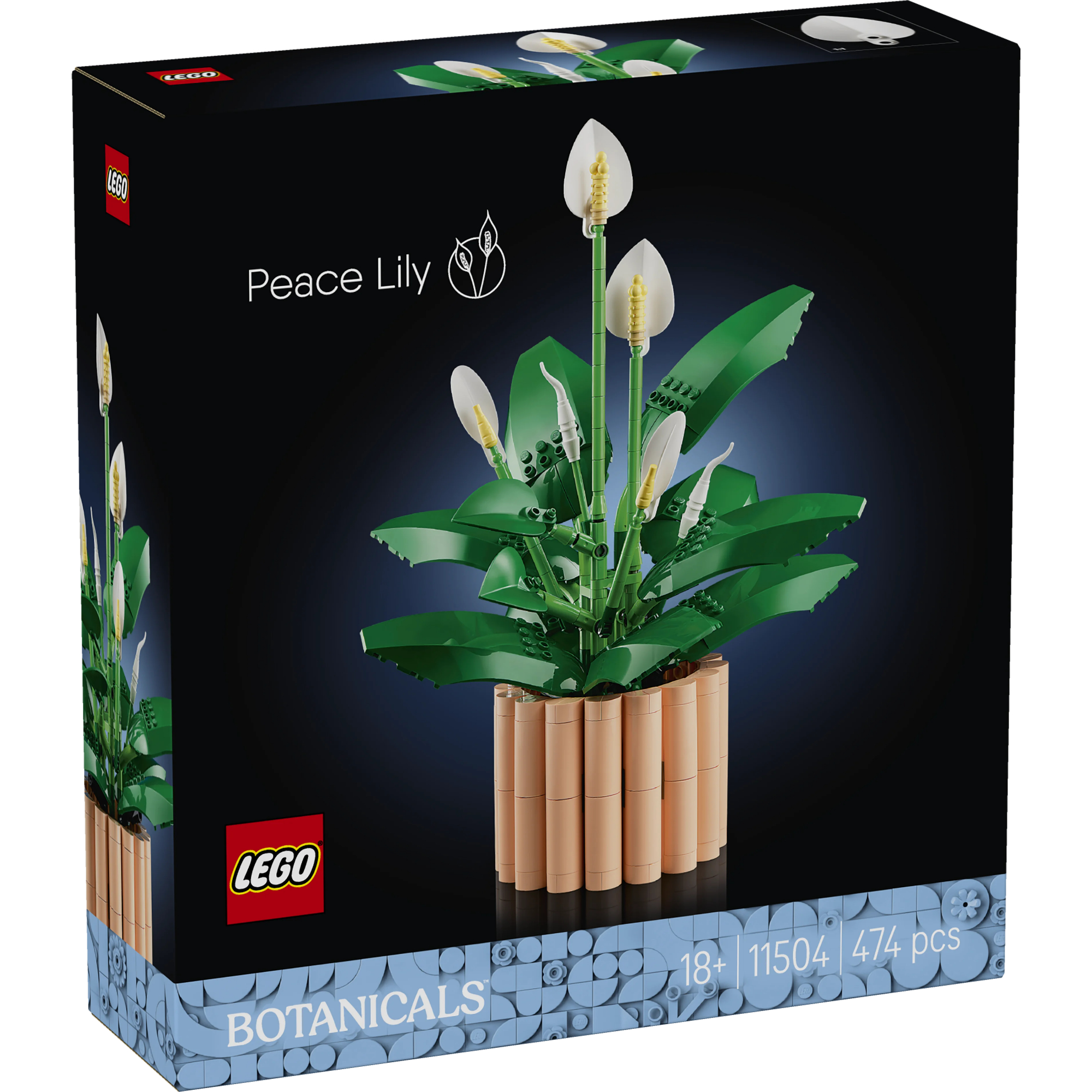 1_11504 Botanicals - Spatifillo - immagine 1