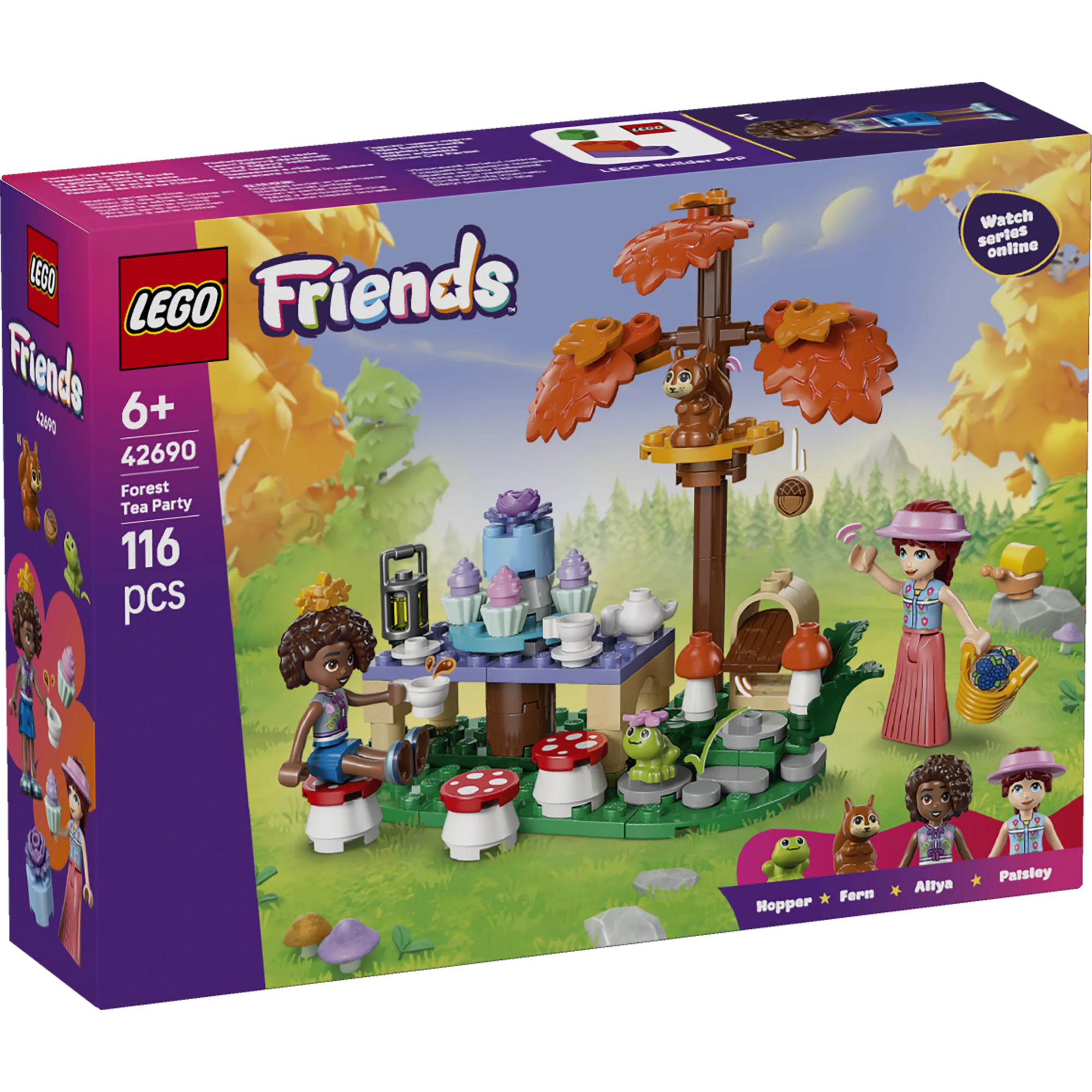 1_42690 Friends - Tea Party nella Foresta - immagine 1