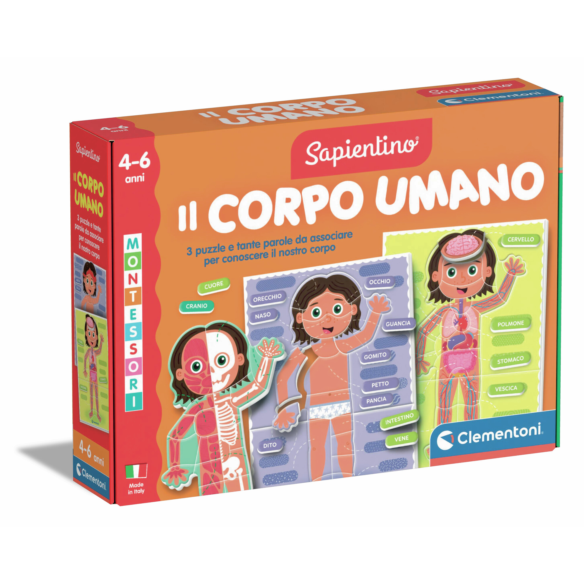 2_CLM16876 Montessori - Il Corpo Umano - immagine 1