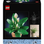 Botanicals - Spatifillo - immagine 2