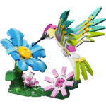Creator - Animali selvatici: colibrì variopinto - immagine 4