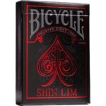 Bicycle - Shin Lim
