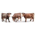 Mucca (differenti posizioni)