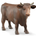 Toro marrone
