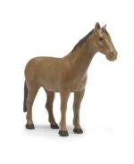 Cavallo assortito