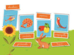 Montessori - Le Parole - immagine 2