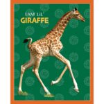 Puzzle da 48 Pezzi Sagomato - I Am Lil' Giraffe - immagine 4