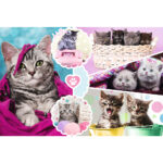 Puzzle da 160 Pezzi - Gattini Adorabili - immagine 2