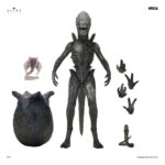 Alien: Earth Ultimate Action Figure Wendy's Xenomorph 18 cm - immagine 2
