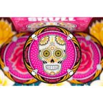 Skull - Ed. Italiana 2024 - immagine 3