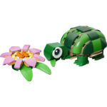 Creator - Tartaruga con fiore di ninfea - immagine 4