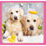 3 Puzzle in 1 - Cagnolini nel Bagno - immagine 3