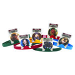 Harry Potter - Essere O Non Essere (H) - immagine 3